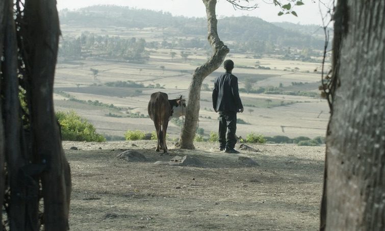 Poster or still from Alazar