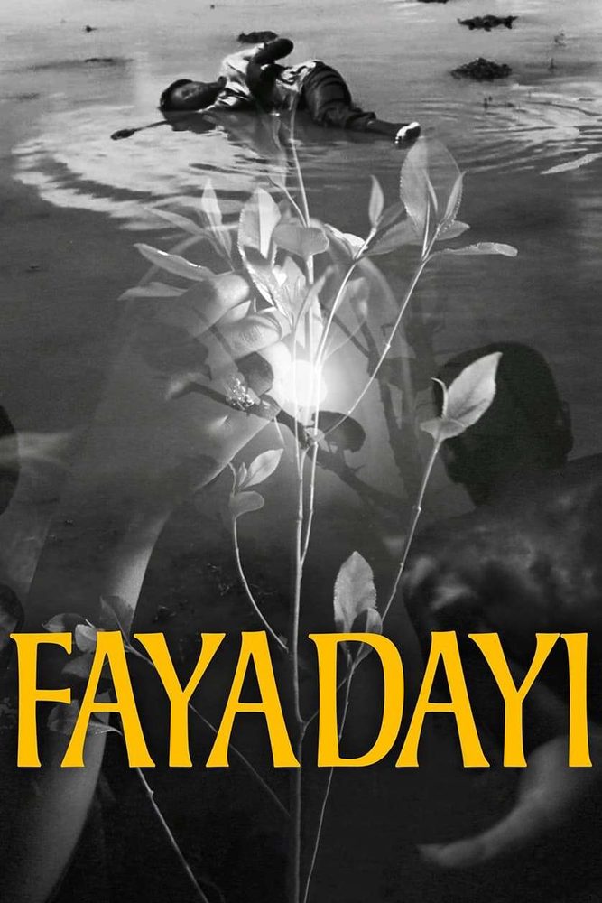 Poster for Faya Dayi